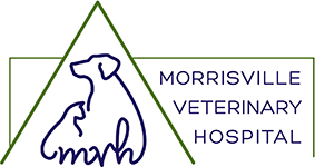 Morrisville Veterinary Hospital